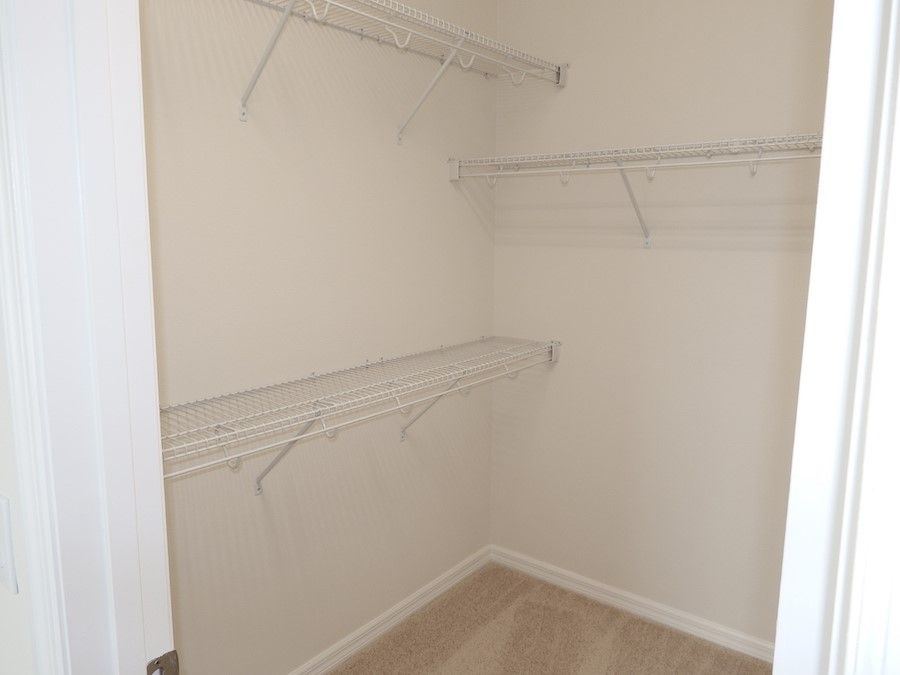 Photo of Lawrence in Altamonte Springs, FL 32701