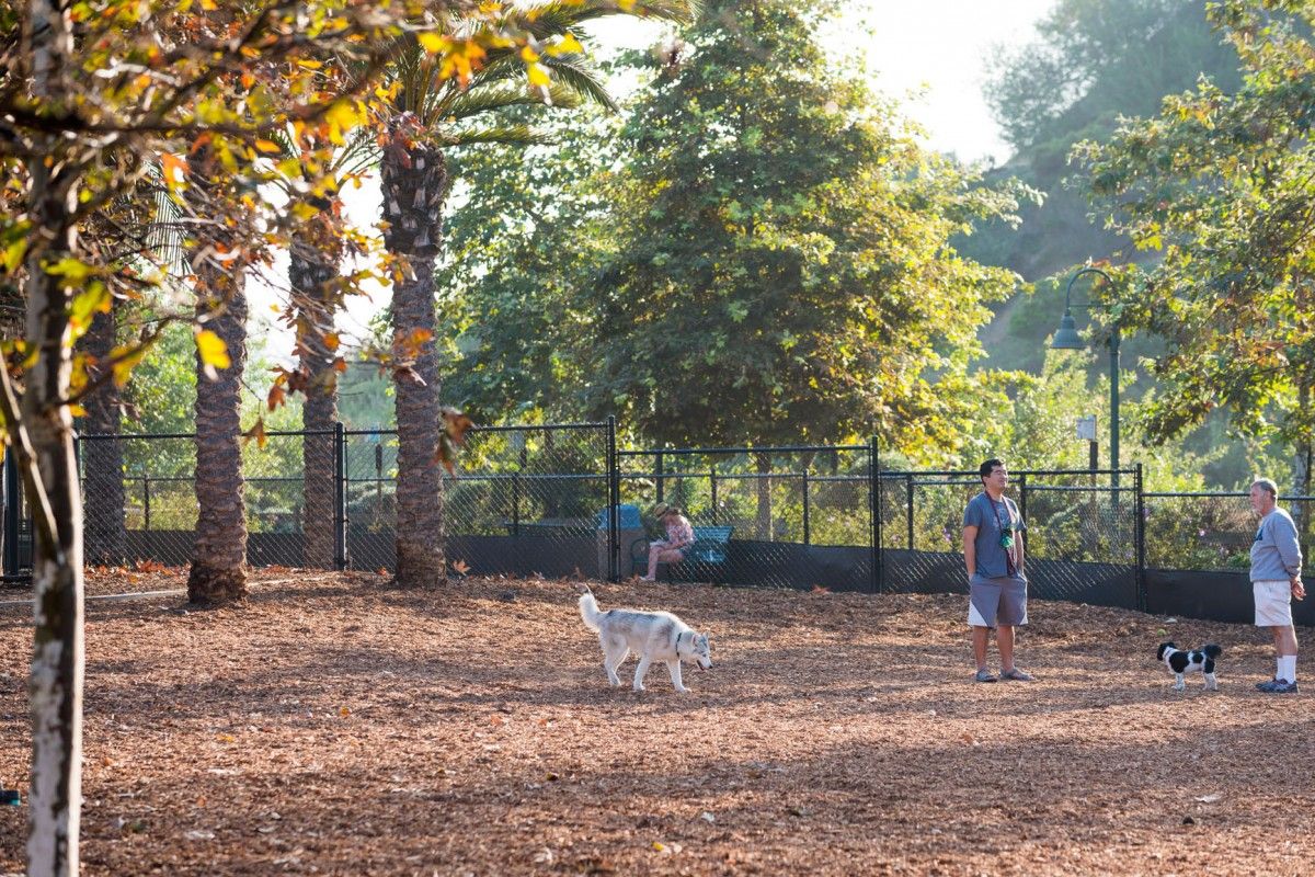Photo of Mason at Playa Vista in Playa Vista, CA 90094