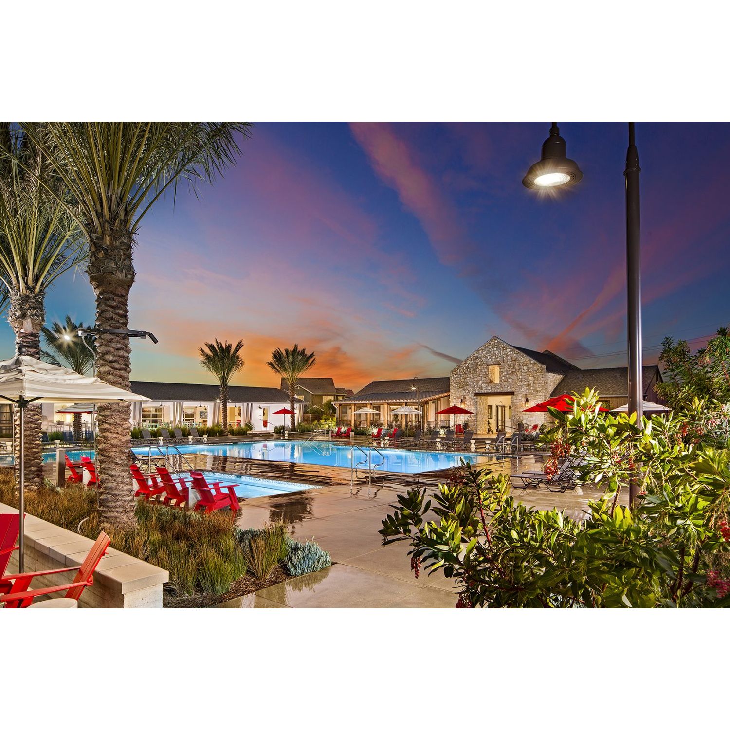 Photo of Marigold at New Haven in Ontario, CA 91761