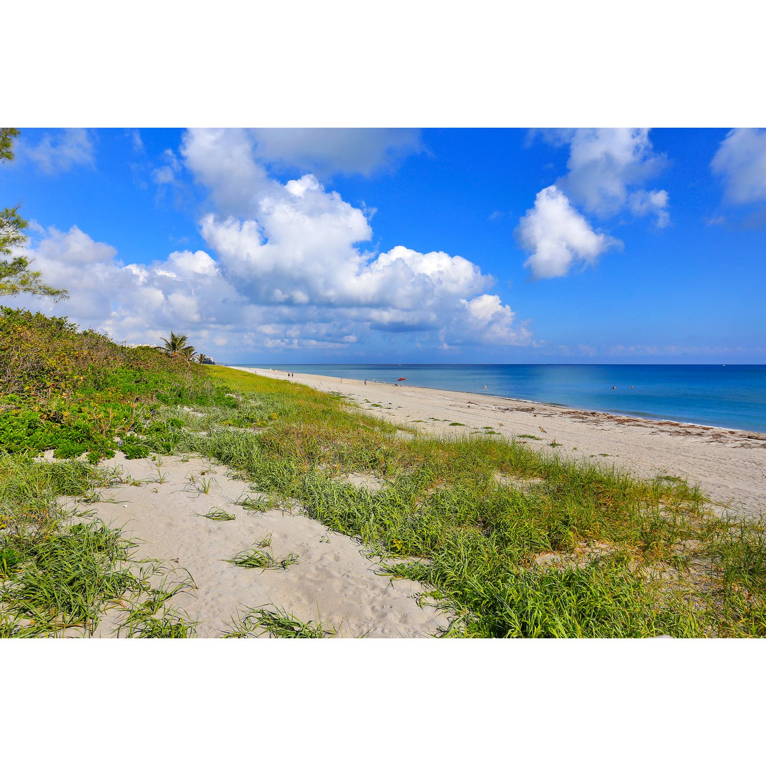 Photo of Oceanside Townhomes in Boca Raton, FL 33431