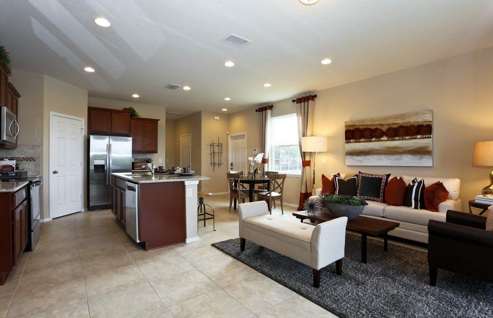 Photo of Ashe in Tampa, FL 33610