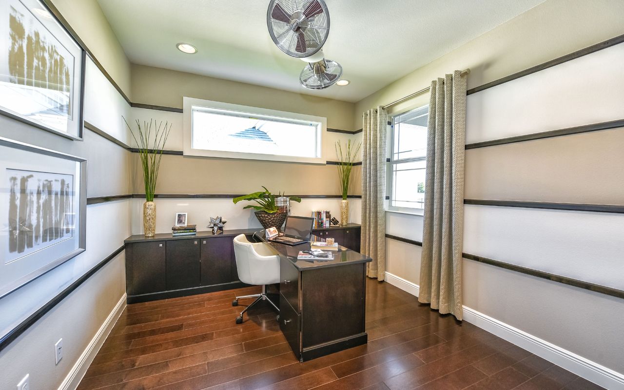 Photo of Casey in Sarasota, FL 34243