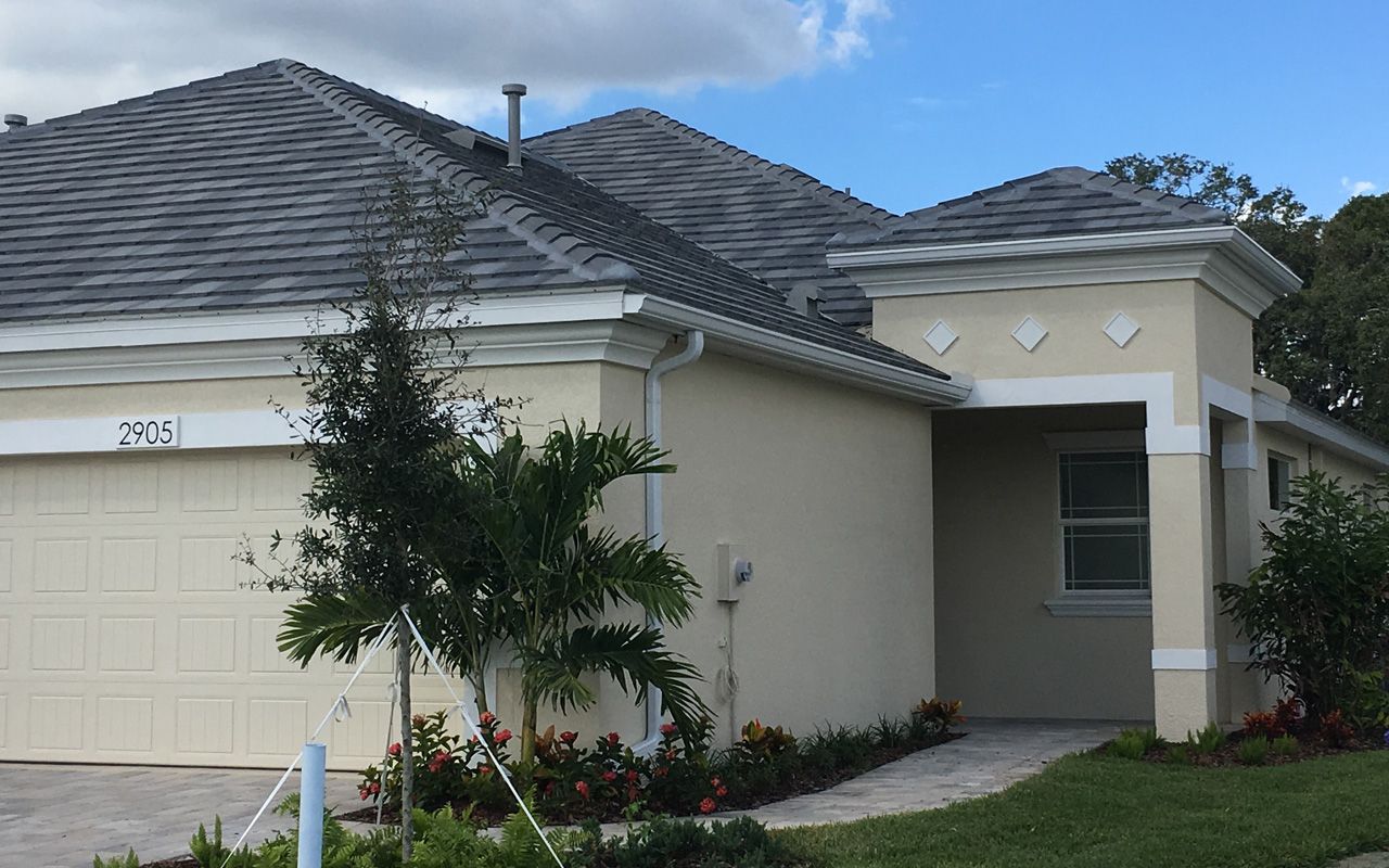 Photo of Casey in Sarasota, FL 34243