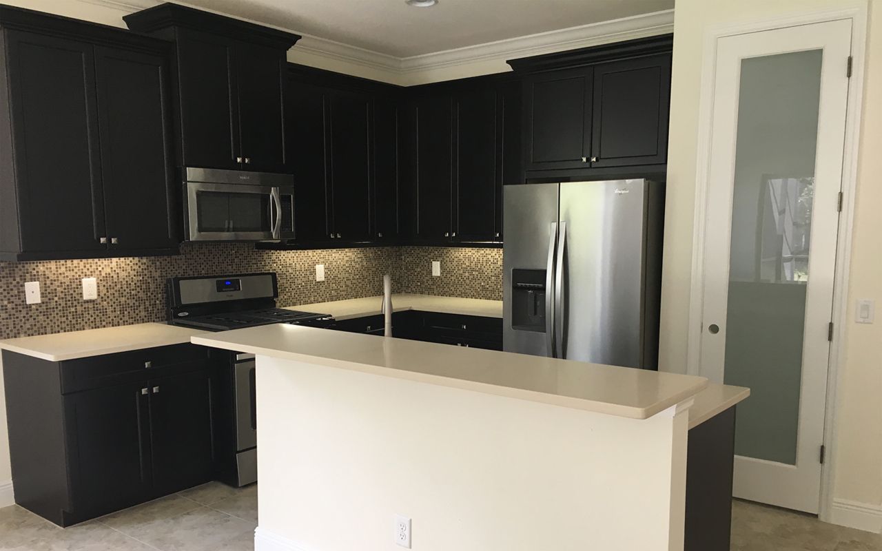 Photo of Casey in Sarasota, FL 34243