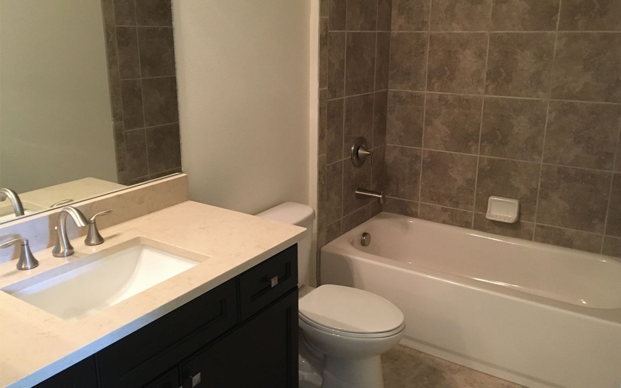 Photo of Casey in Sarasota, FL 34243