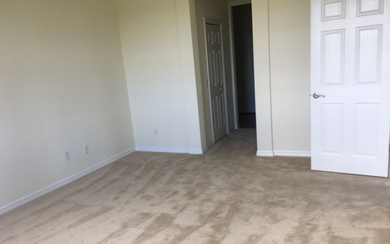 Photo of Siesta in Sarasota, FL 34243
