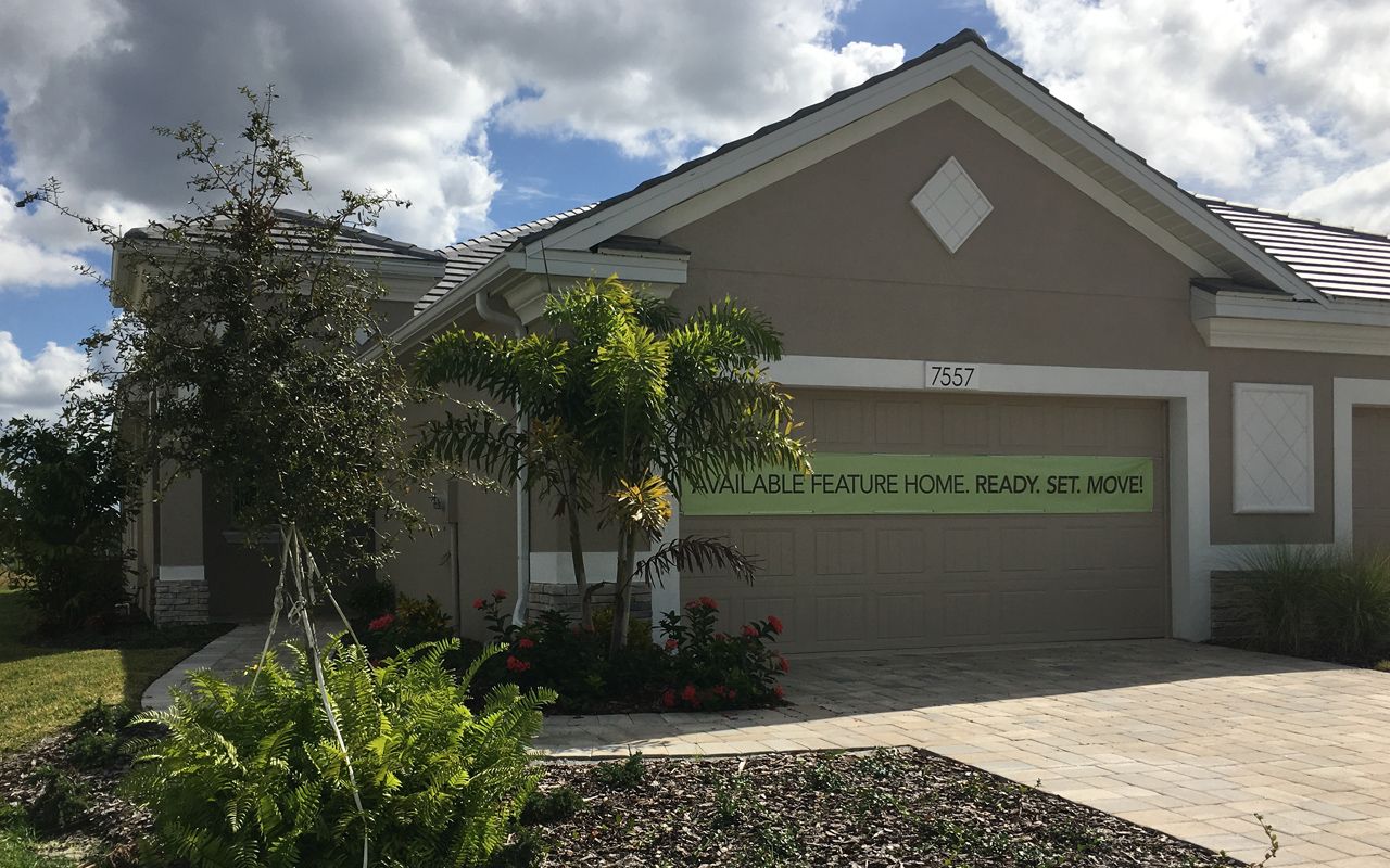 Photo of Casey in Sarasota, FL 34243