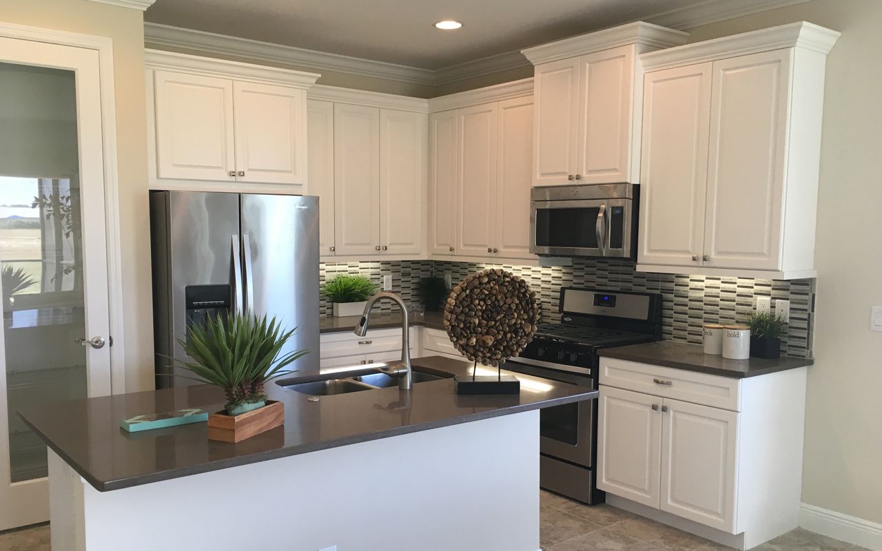 Photo of Casey in Sarasota, FL 34243