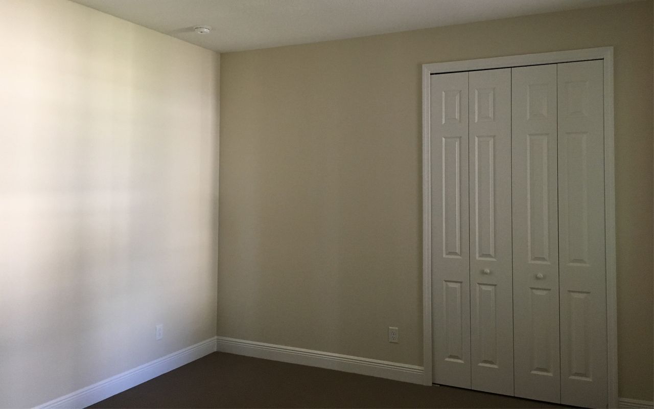 Photo of Casey in Sarasota, FL 34243
