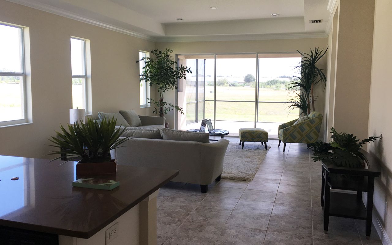 Photo of Casey in Sarasota, FL 34243