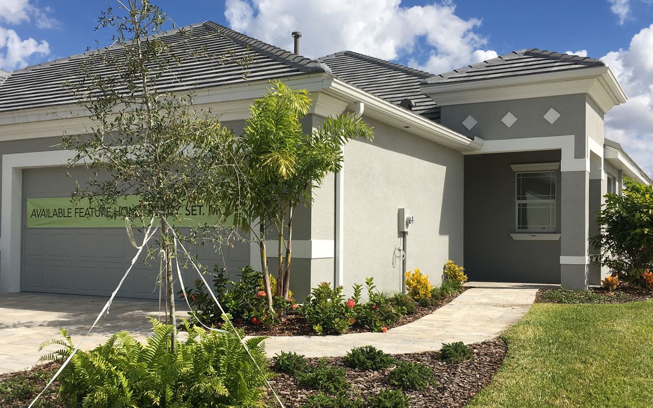 Photo of Casey in Sarasota, FL 34243