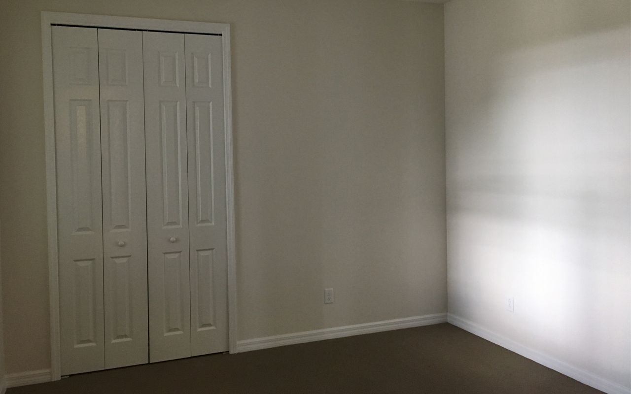 Photo of Casey in Sarasota, FL 34243