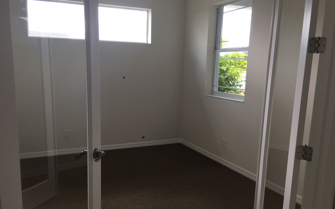 Photo of Casey in Sarasota, FL 34243
