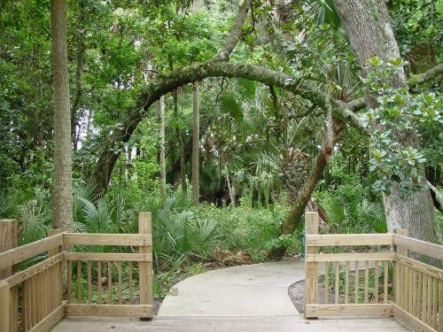 Photo of Spring Lake at Celebration - Bungalows in Celebration, FL 34747