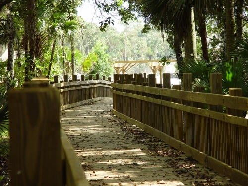 Photo of Spring Lake at Celebration - Gardens in Celebration, FL 34747