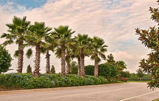 Photo of Laureate Park at Lake Nona Cottage in Orlando, FL 32827