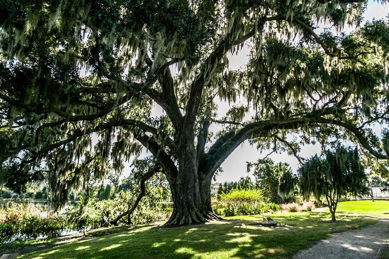 Photo of Oakland Park - Cottage Homes in Winter Garden, FL 34787