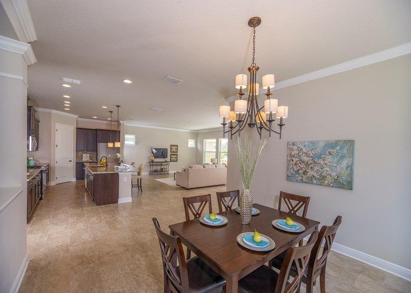 Photo of Ovilla in Lithia, FL 33547