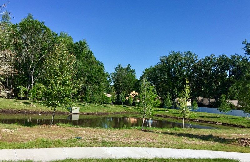 Photo of Lakeshore Oaks in Tampa, FL 33624