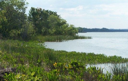 Photo of Oakland Park - Village Series in Winter Garden, FL 34787