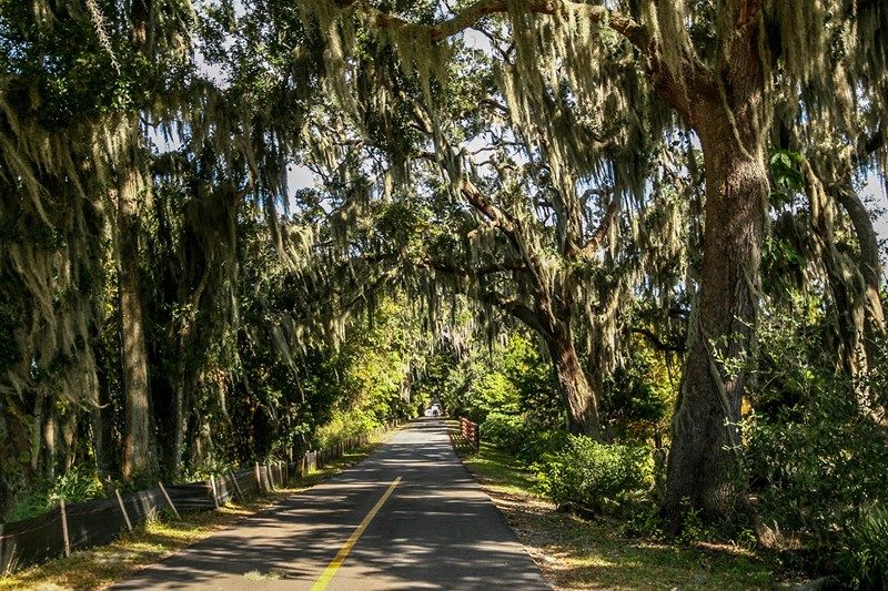 Photo of Oakland Park - Village Series in Winter Garden, FL 34787