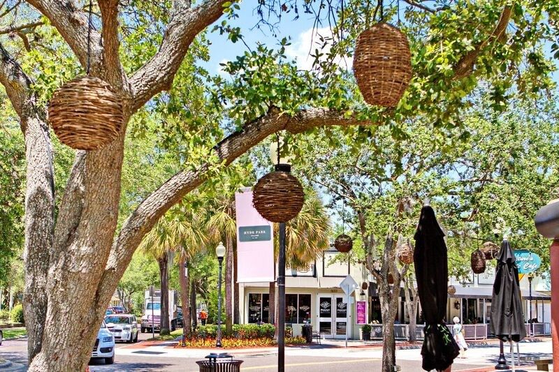 Photo of SOHO Townhomes in Tampa, FL 33609