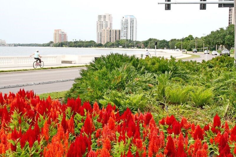 Photo of SOHO Townhomes in Tampa, FL 33609