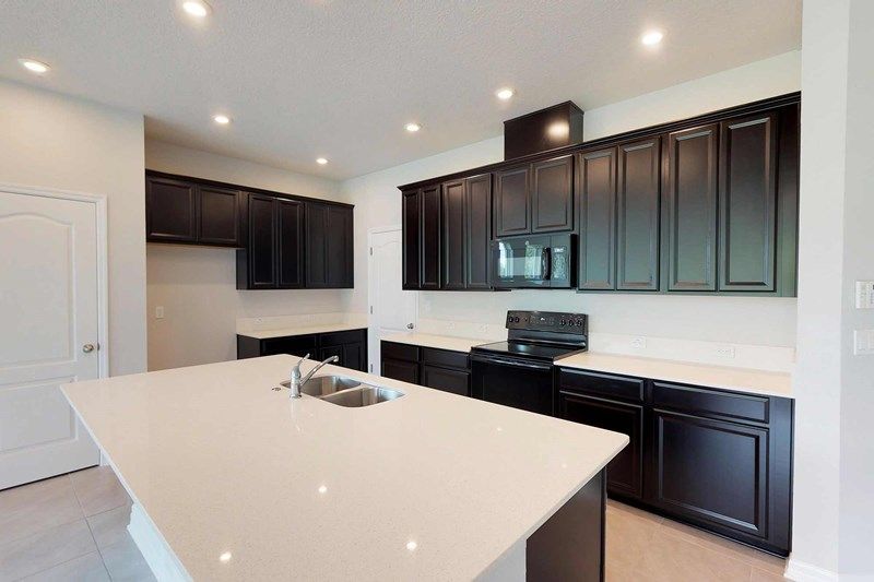Photo of Dalmain in Clermont, FL 34714
