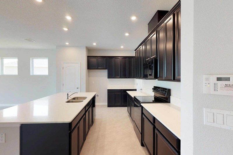 Photo of Dalmain in Clermont, FL 34714