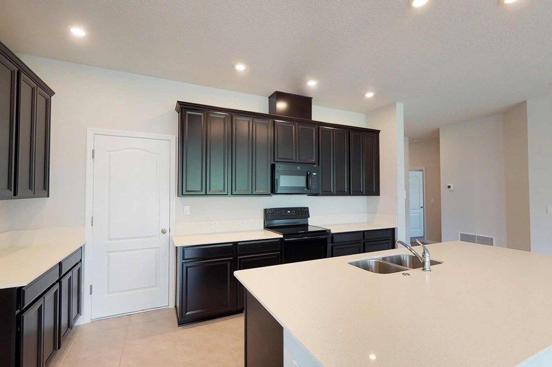Photo of Dalmain in Clermont, FL 34714