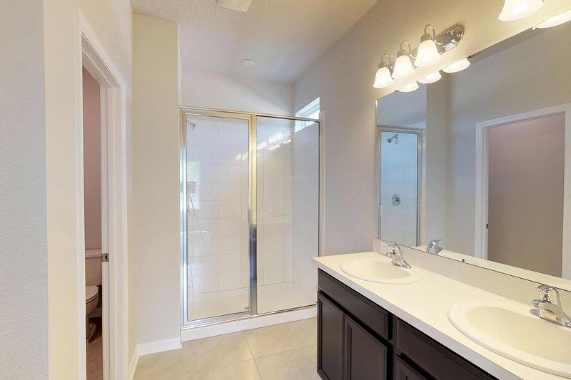 Photo of Dalmain in Clermont, FL 34714