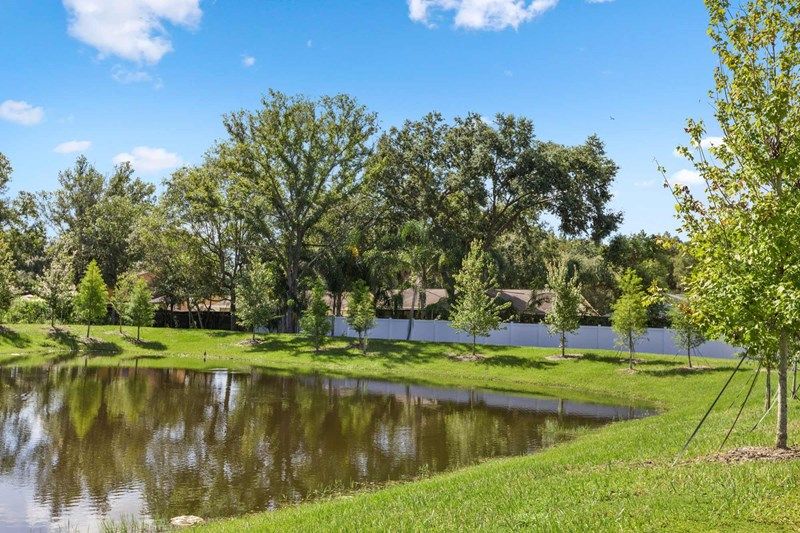 Photo of Lakeshore Oaks in Tampa, FL 33624