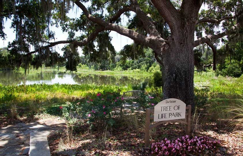 Photo of Del Webb Orlando in Davenport, FL 33837