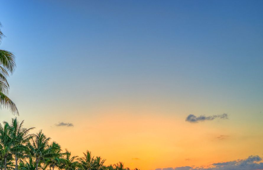 Photo of The Fields in Lake Worth, FL 33467