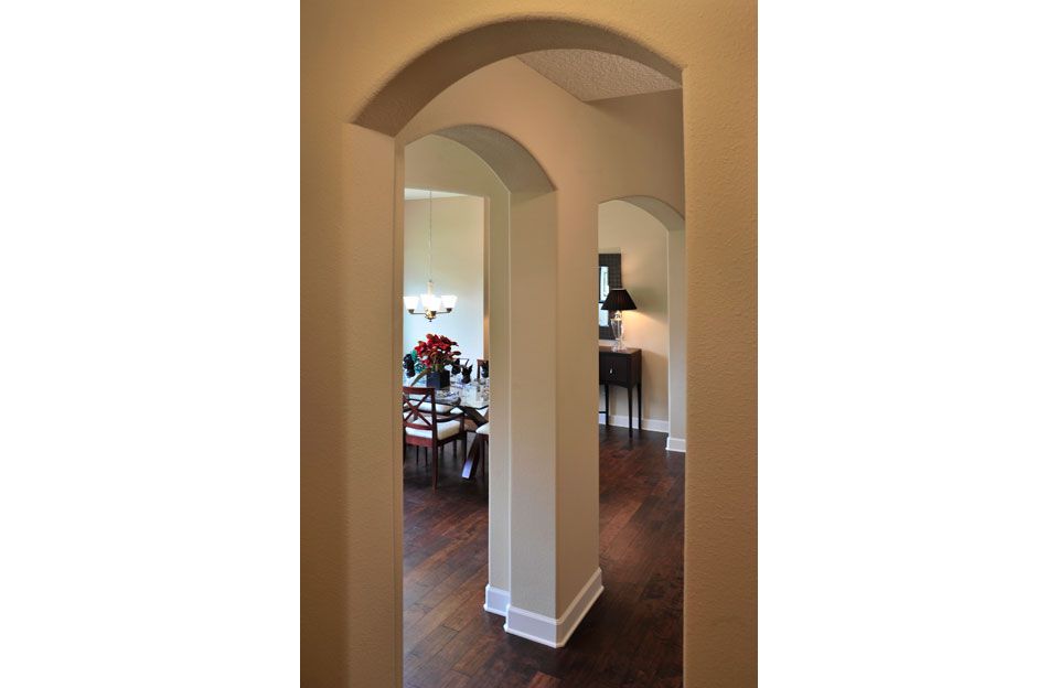 Photo of Andros in Middleburg, FL 32068