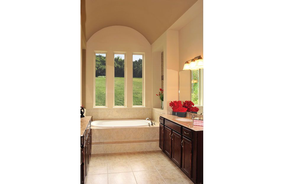 Photo of Andros in Middleburg, FL 32068