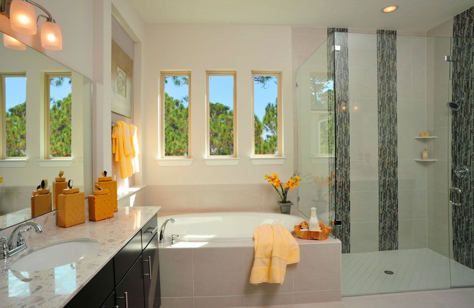 Photo of Palmetto in Middleburg, FL 32068