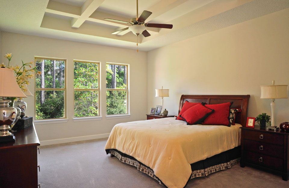 Photo of Palmetto in Middleburg, FL 32068