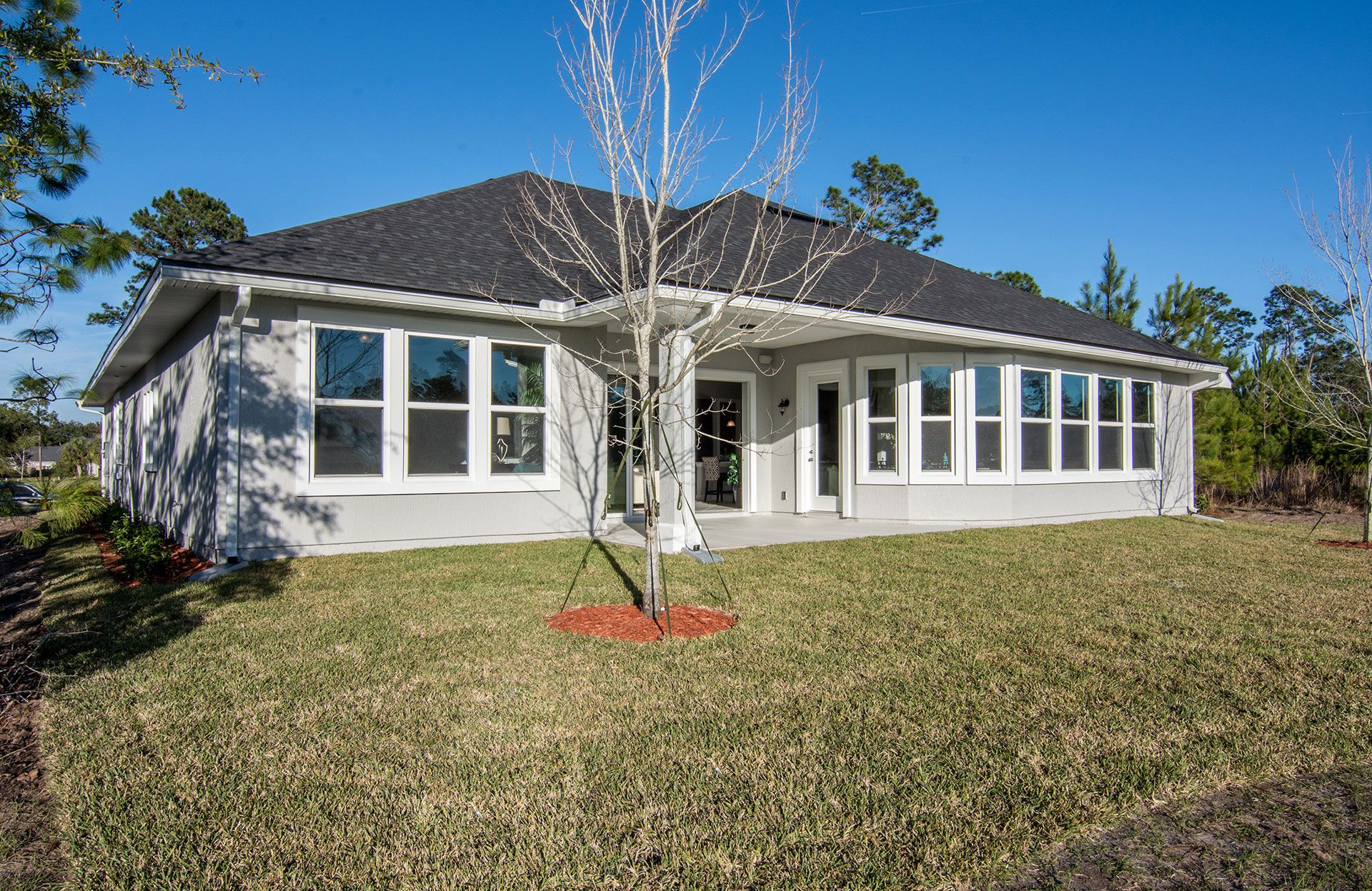 Photo of Palmetto in Middleburg, FL 32068