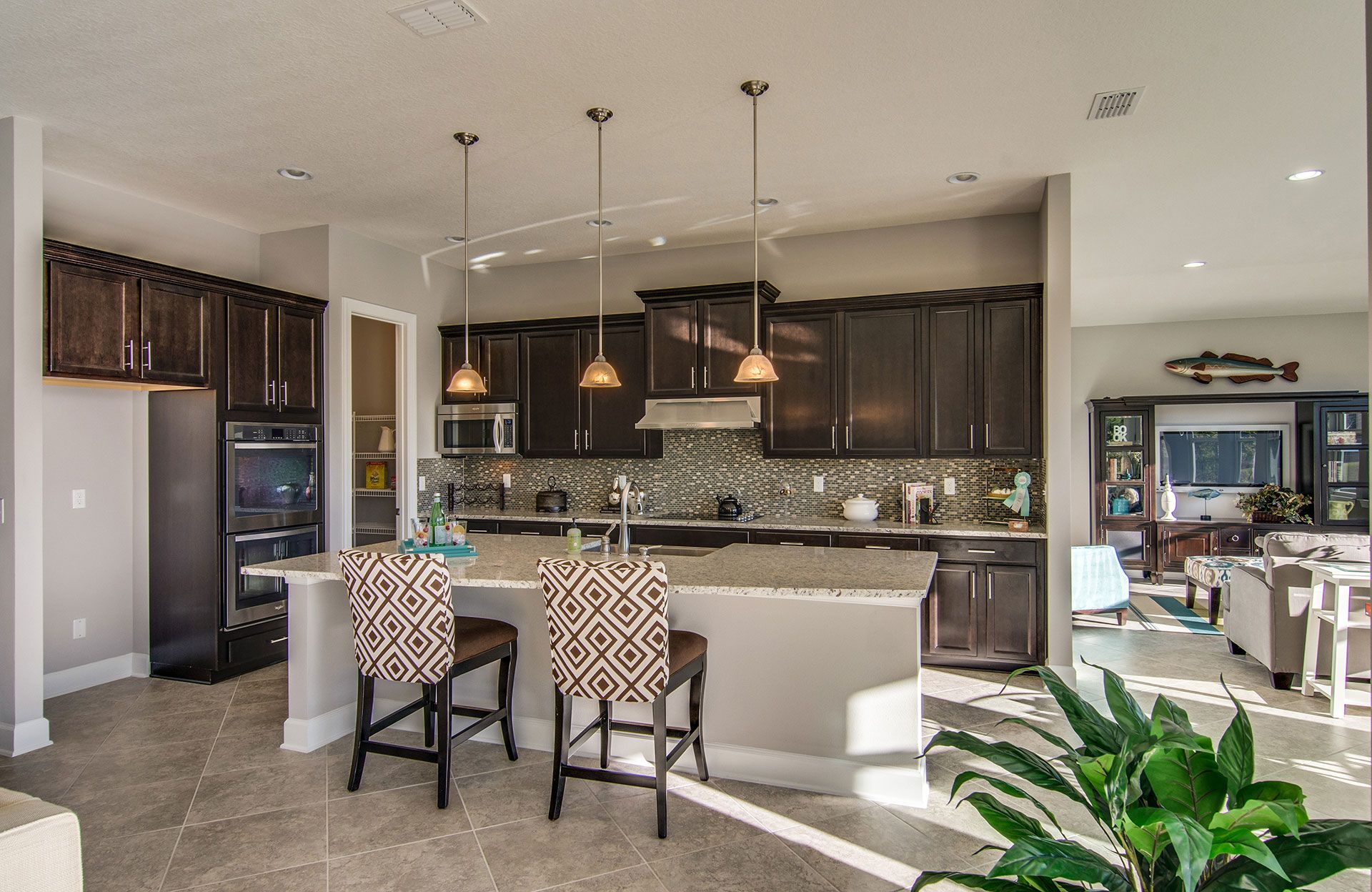 Photo of Palmetto in Middleburg, FL 32068