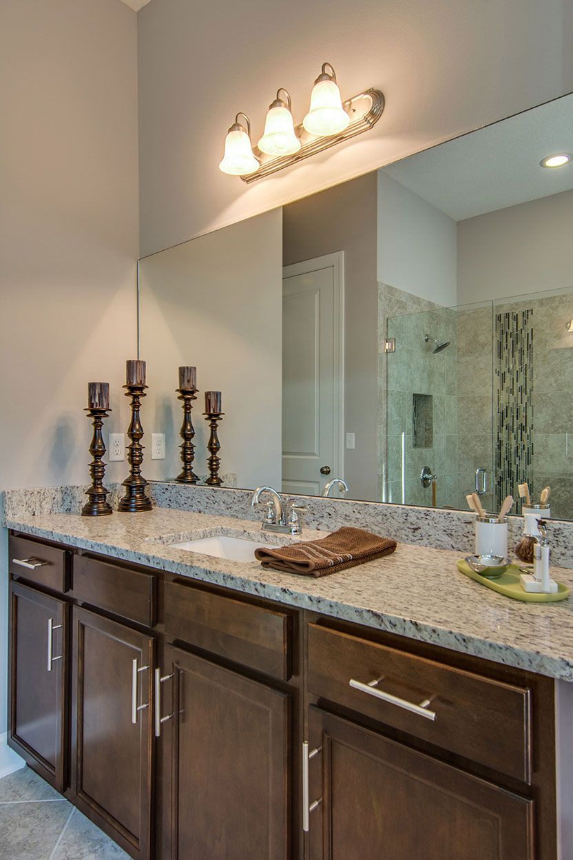 Photo of Palmetto in Middleburg, FL 32068