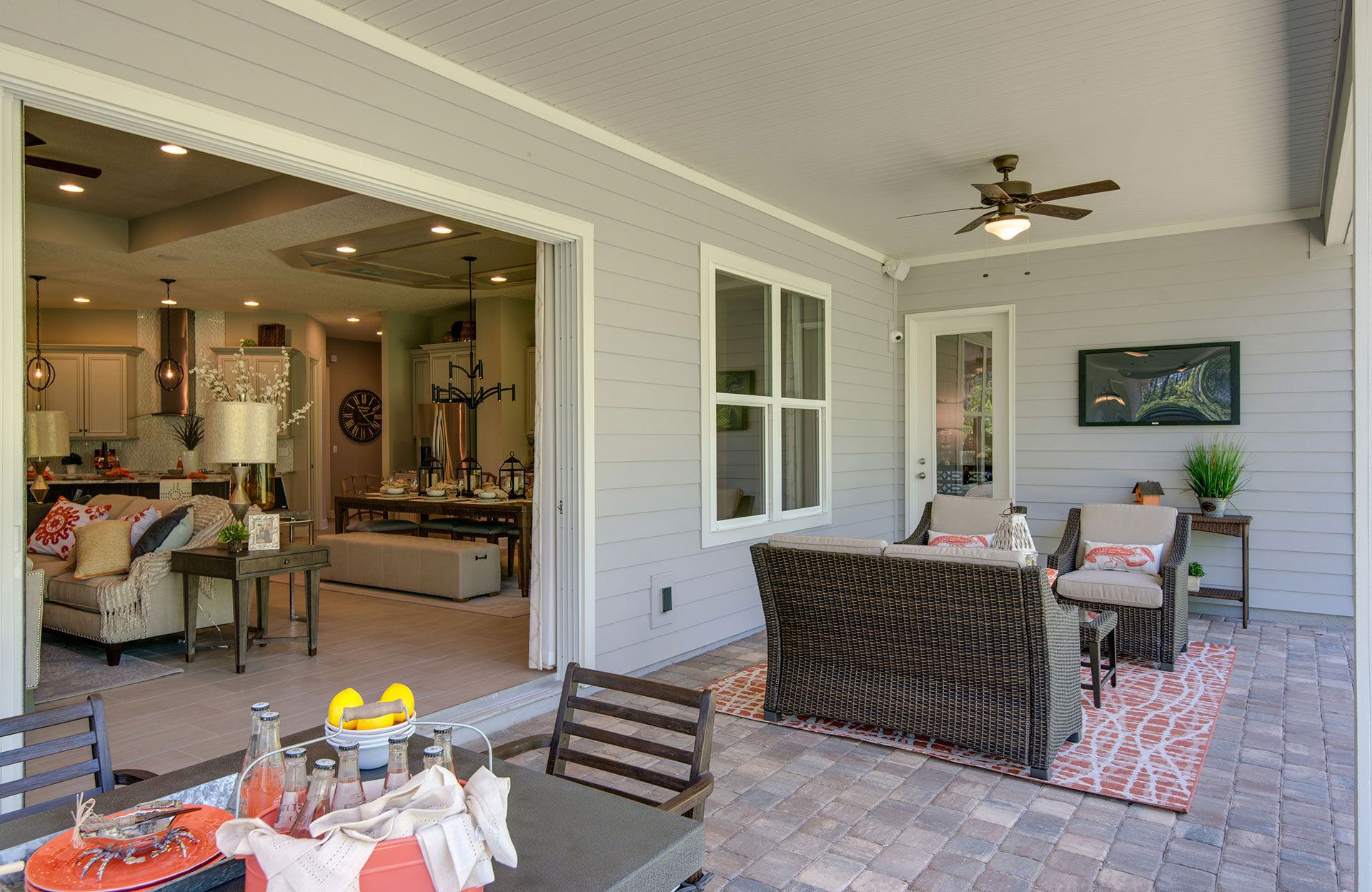 Photo of Marco in Middleburg, FL 32068