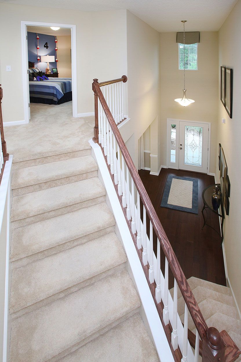 Photo of Bartram in Middleburg, FL 32068