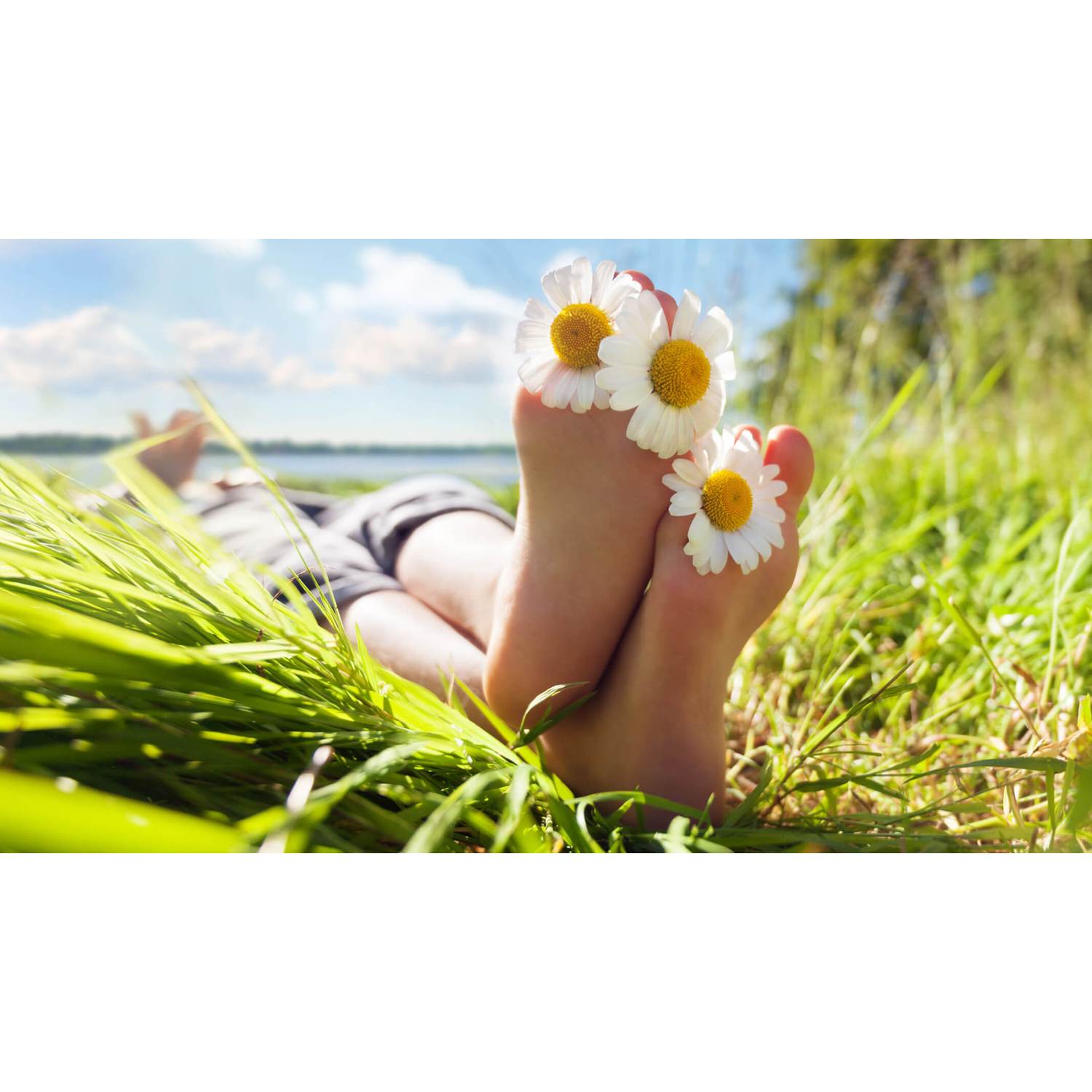 Photo of Arden in Loxahatchee, FL 33470