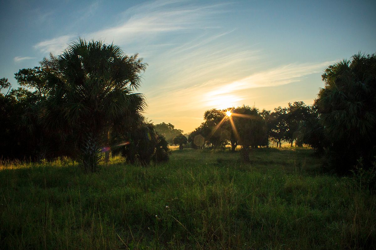 Photo of Florida Heartland in Labelle, FL 33935