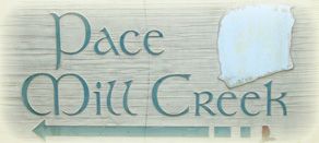 Photo of Pace Mill Creek in Pace, FL 32571