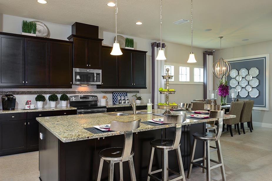Photo of La Collina 60'S in Brandon, FL 33511
