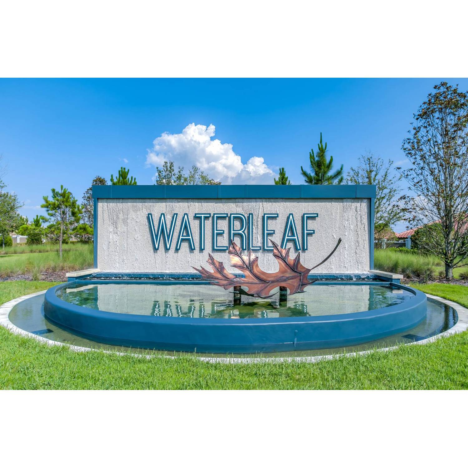 Photo of Waterleaf in Riverview, FL 33579