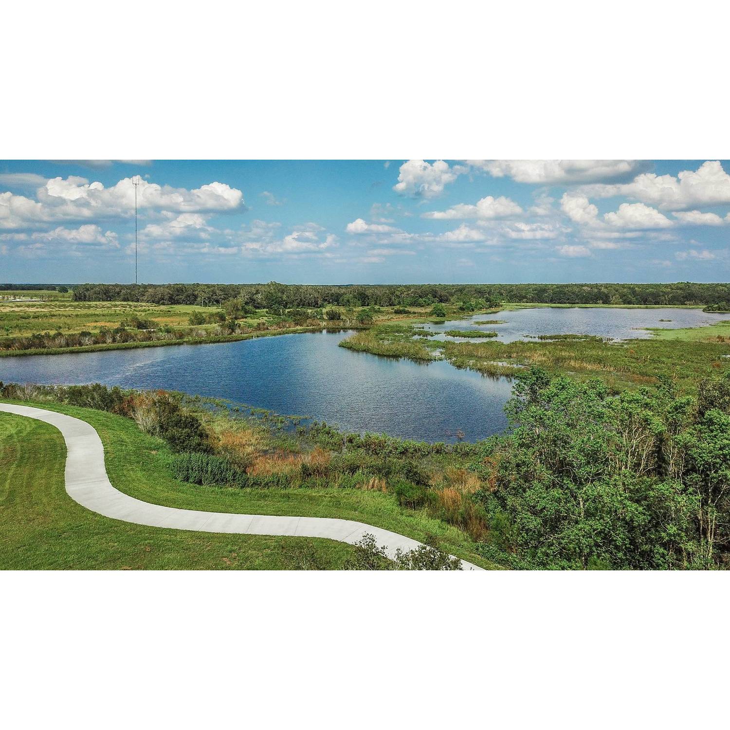 Photo of Triple Creek Inspiration in Riverview, FL 33579