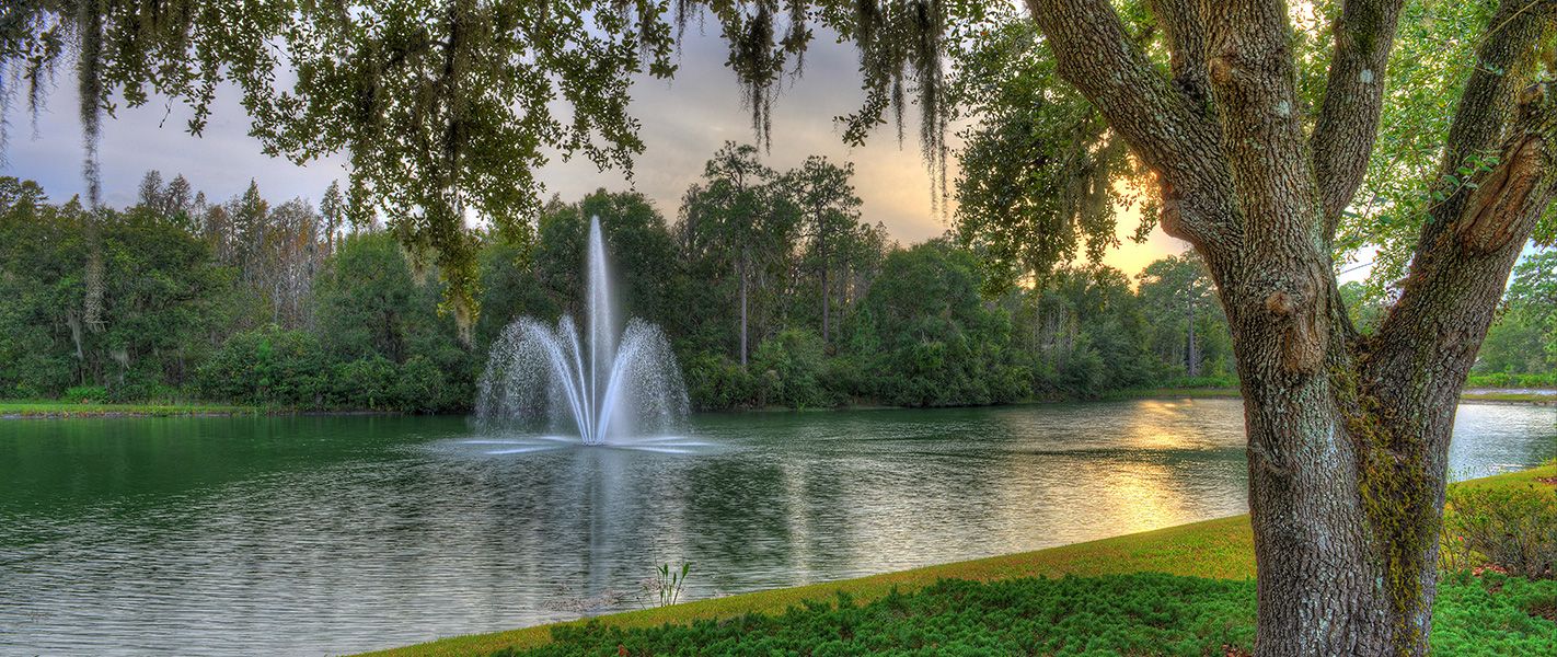 Photo of Grand Hampton in Tampa, FL 33647